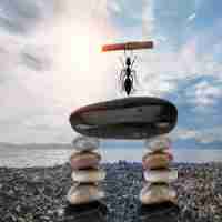 网‍站‍加‍速‌插​件‍